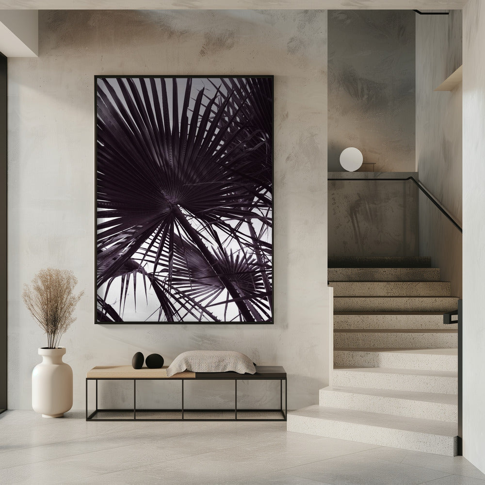 Palmsilhouet | Poster