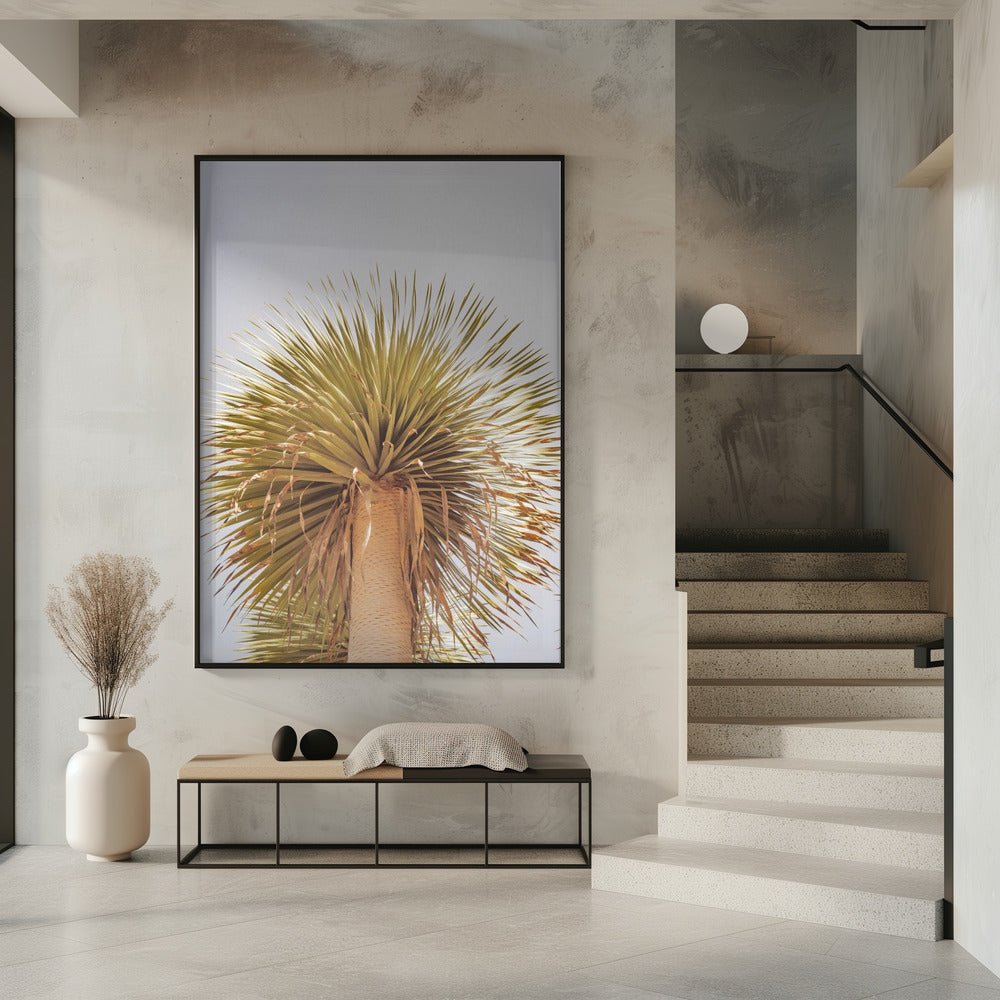 Desert Crown | Poster