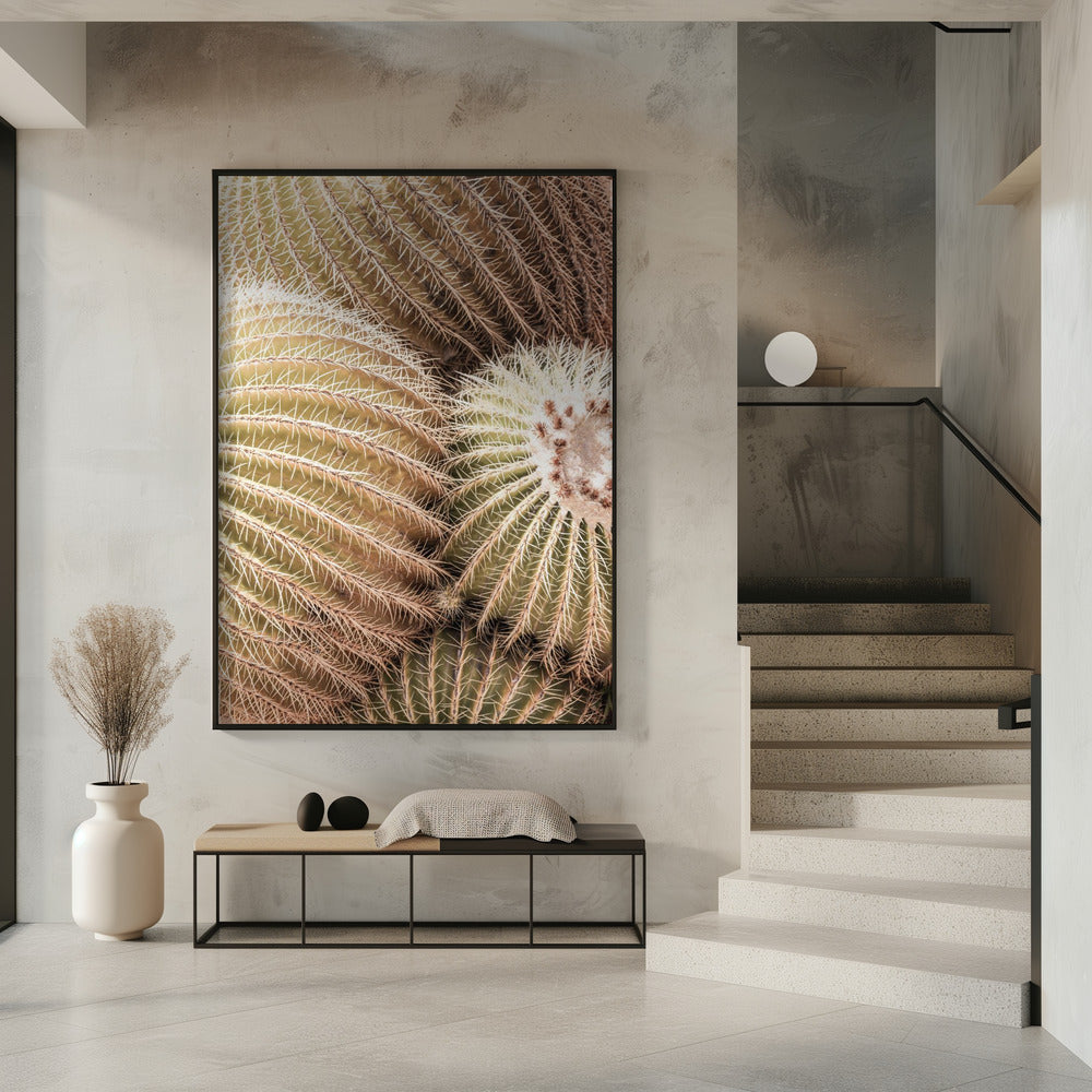 Spiral of Spines | Poster