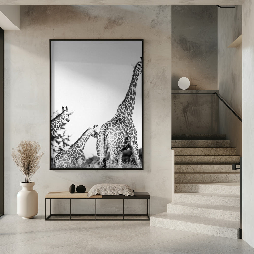 Wandeling met giraffenfamilie | Poster