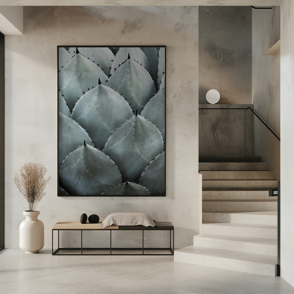 Agave Symmetry | Poster