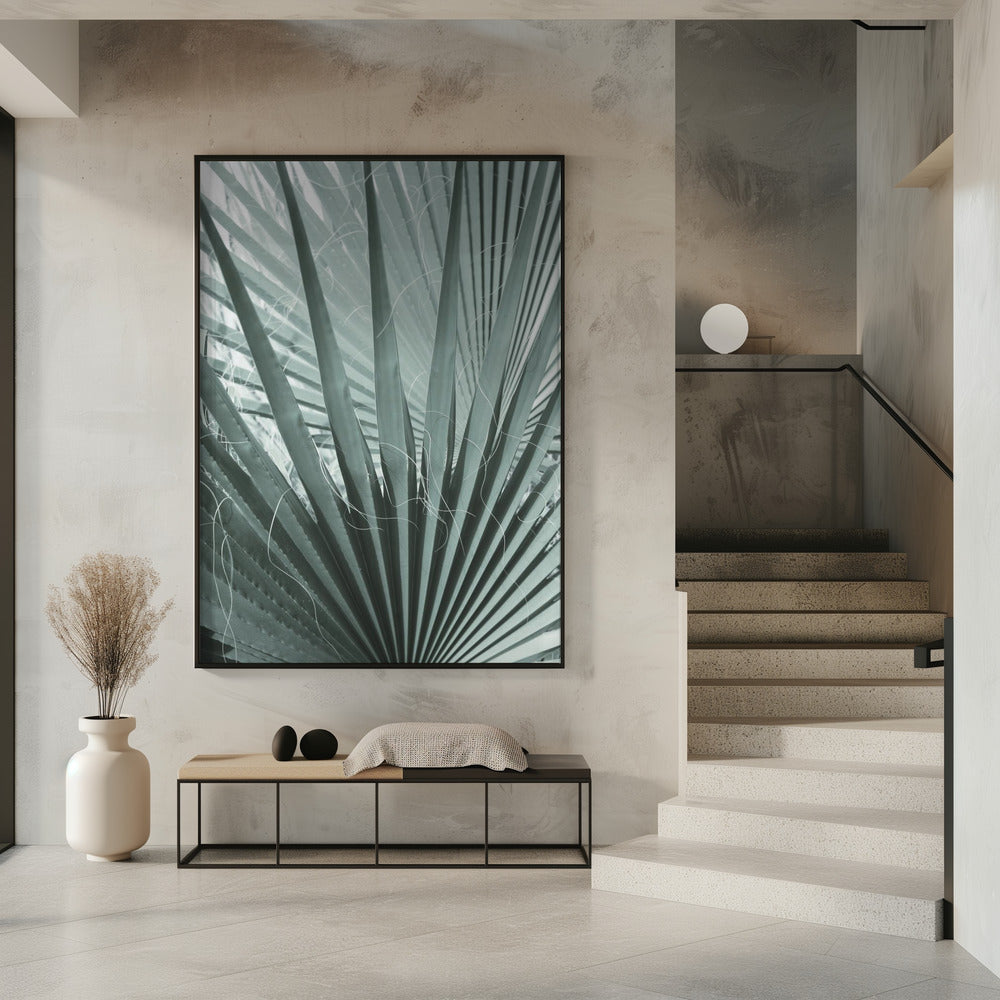 Frond Geometry | Poster