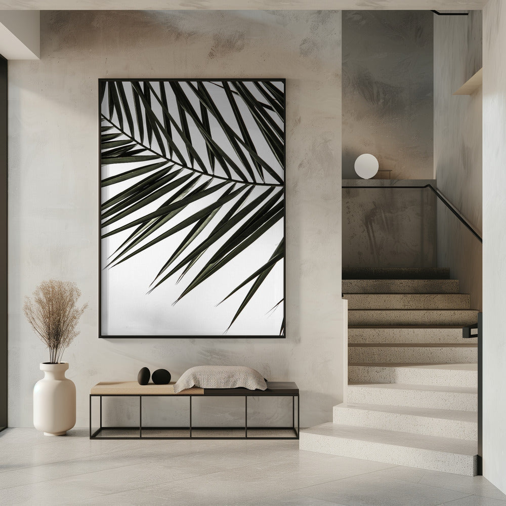 Frond Shadows | Poster