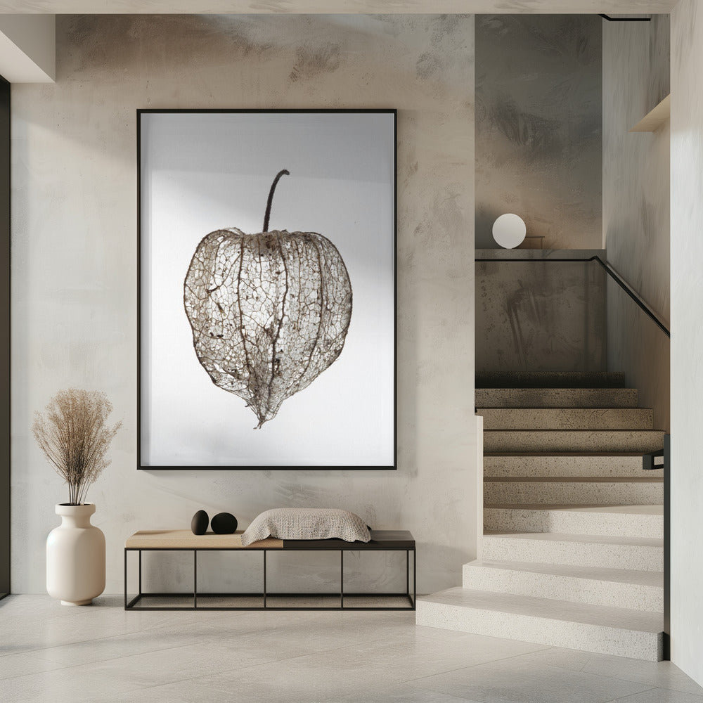 De sluier van de kwetsbare natuur | Poster