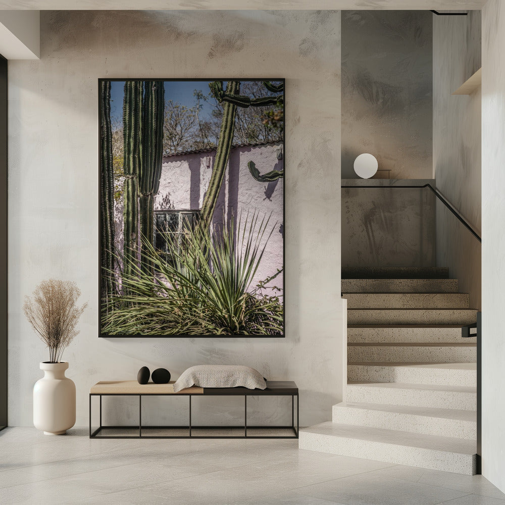 Cactus & Roze Muur | Poster