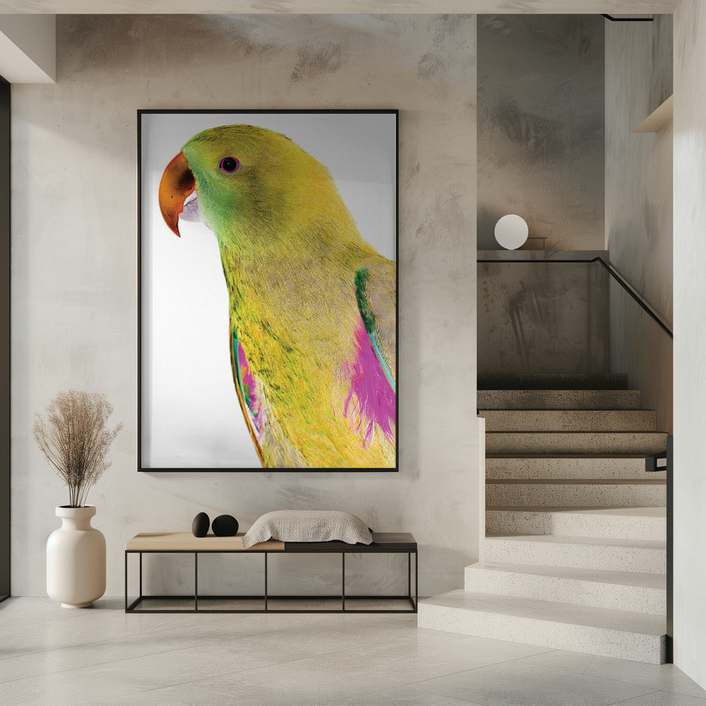 Vibrant Parrot Profile | Poster