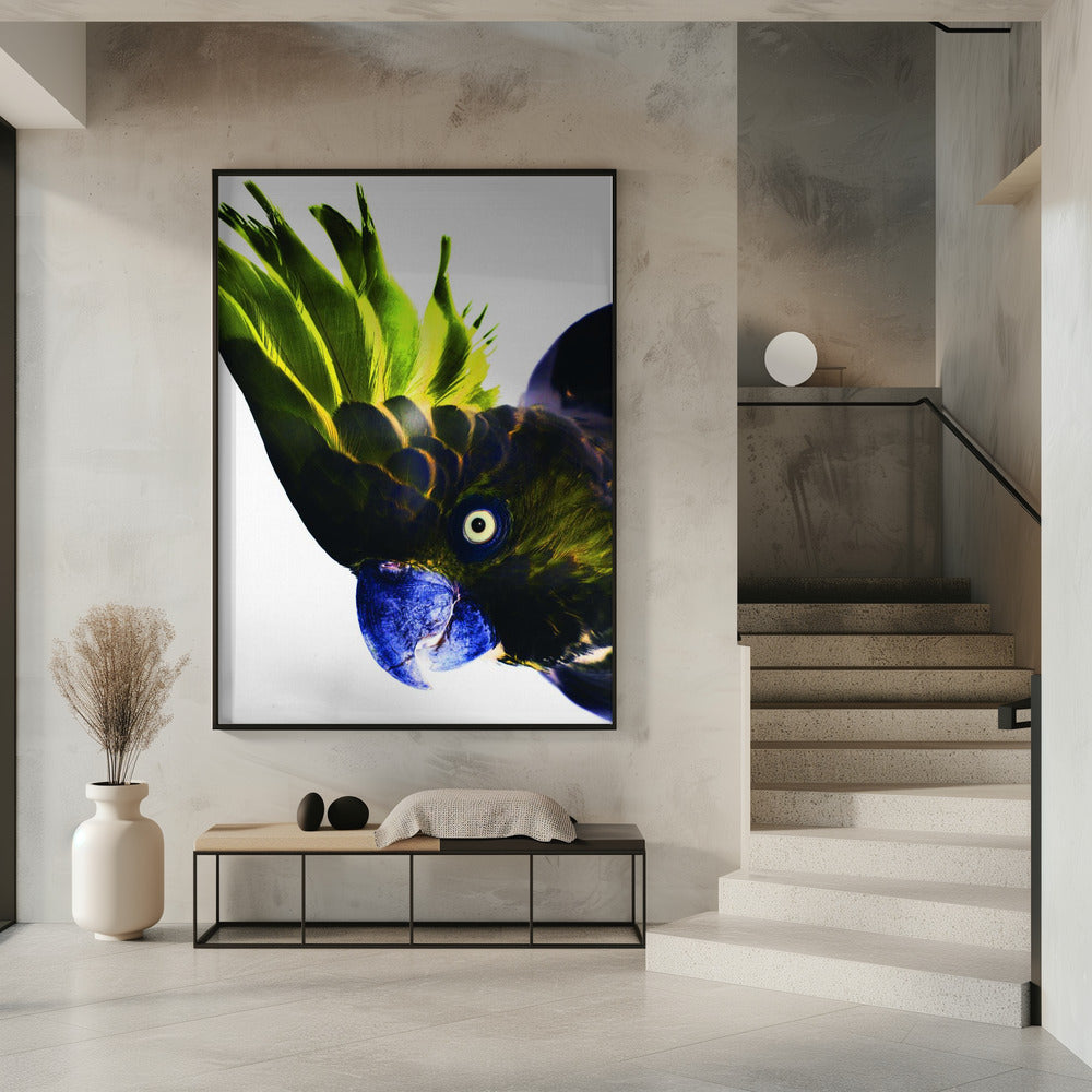 Levendige vogelblik | Poster
