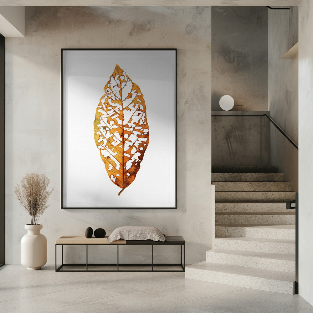 Bladskelet Essentie | Poster