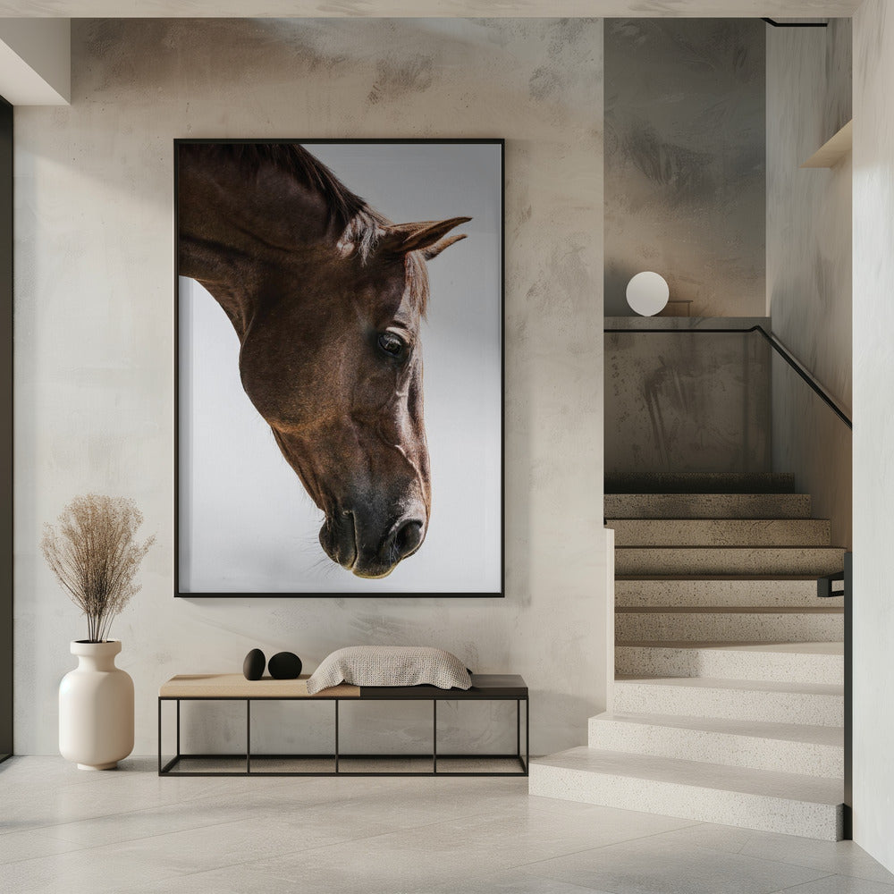 Portret van een paardenkop | Poster