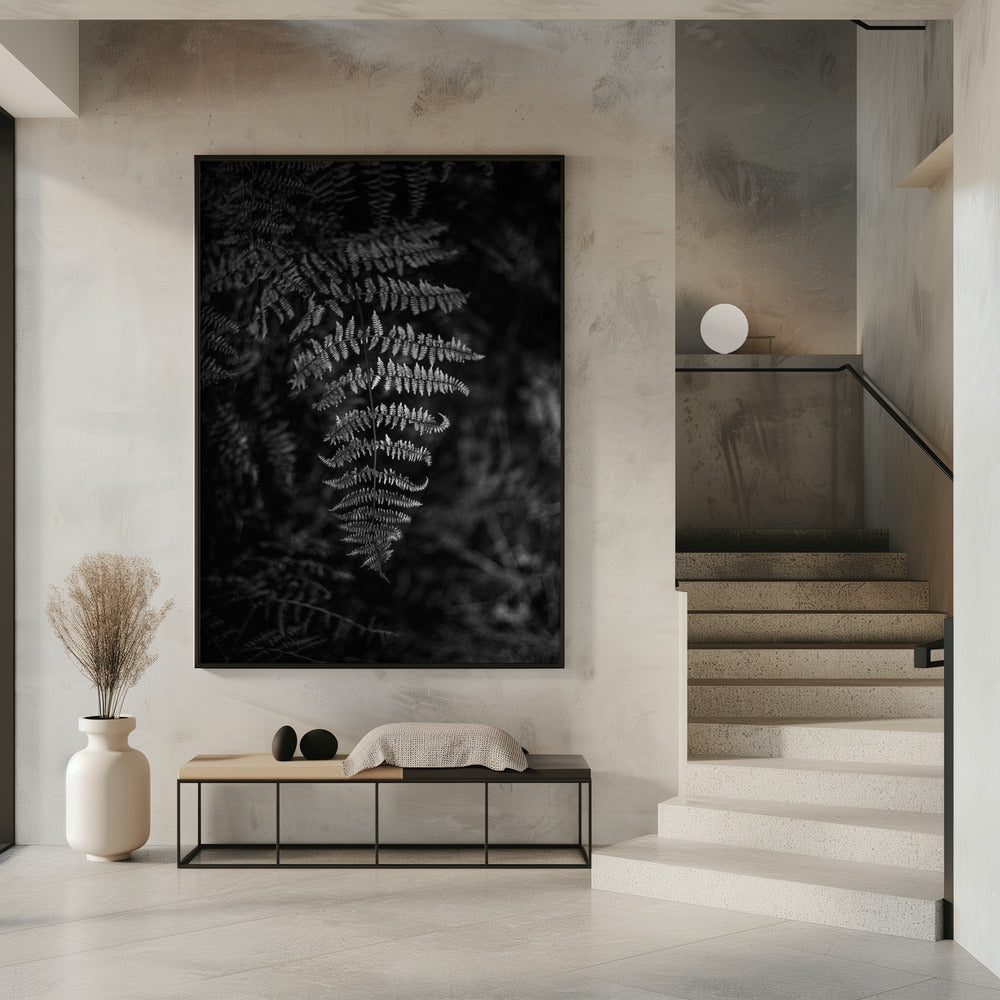 Zilveren Varen | Poster