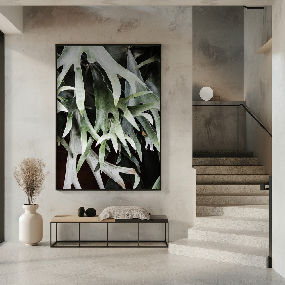 Betoverde bladeren | Poster