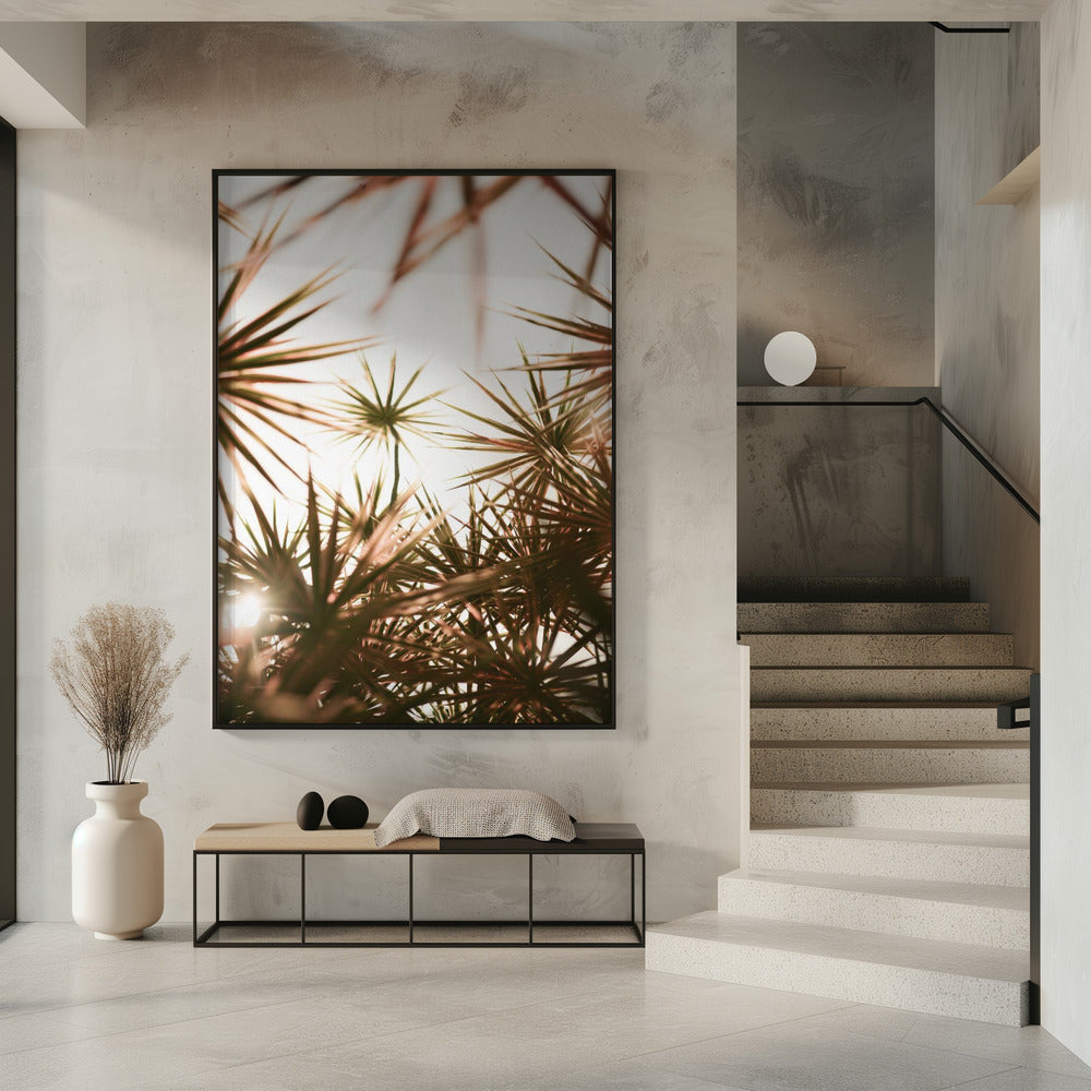 Abstracte schoonheid van stekelige plant | Poster