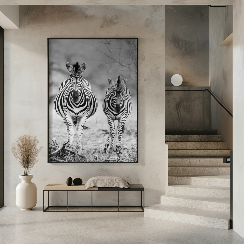 Gestreept paard op de voorkant | Poster