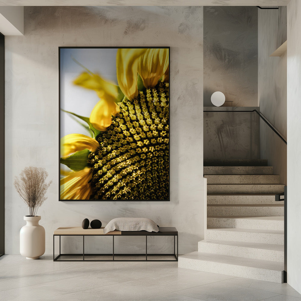 Zonnebloem close-up | Poster