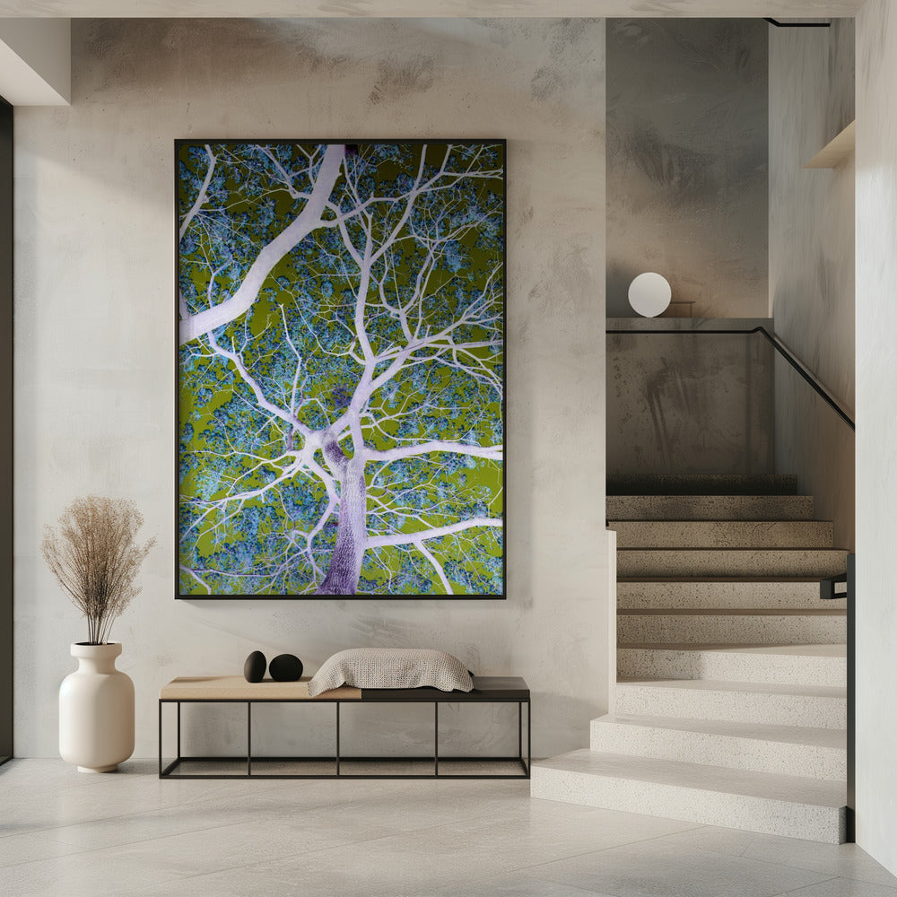 Surrealistische takken | Poster