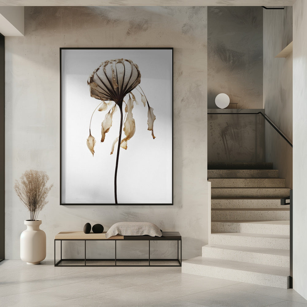 Verwelkte elegantie | Poster