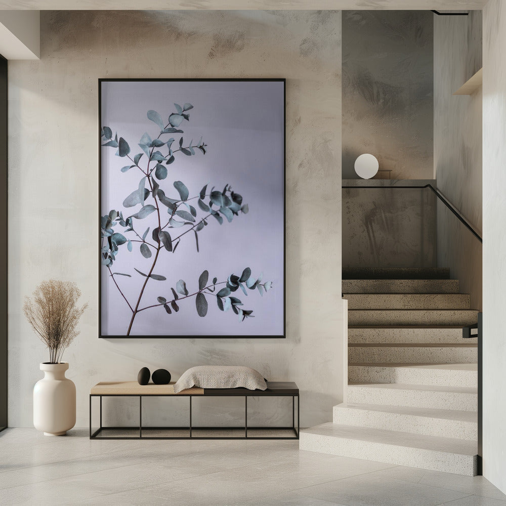 Eucalyptus 13 | Poster