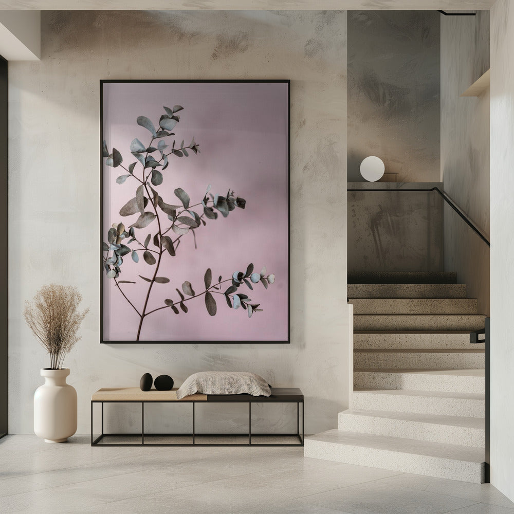 Eucalyptus 12 | Poster