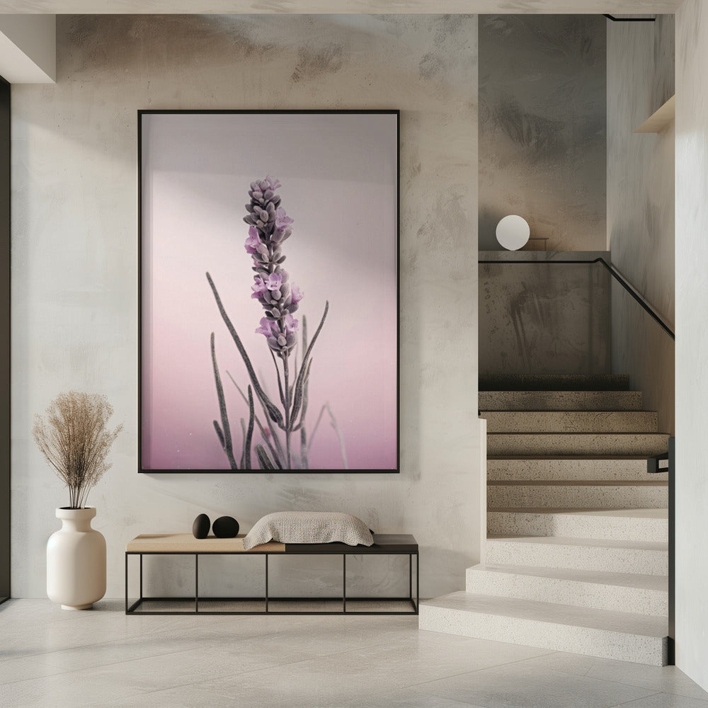 Lavender Dreams | Poster