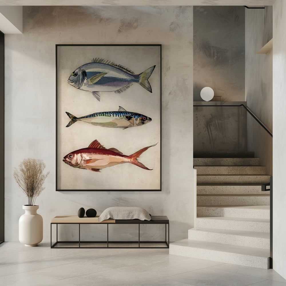 Trio van oceaanleven | Poster