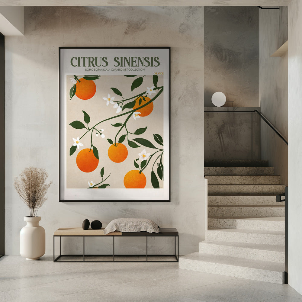 Oranje Elegantie | Poster