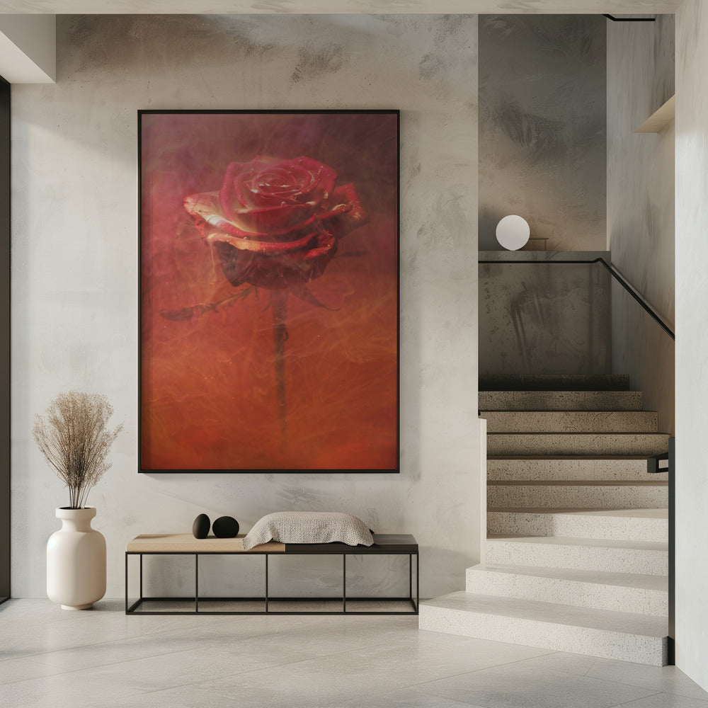 rode roos en inkt in water | Poster