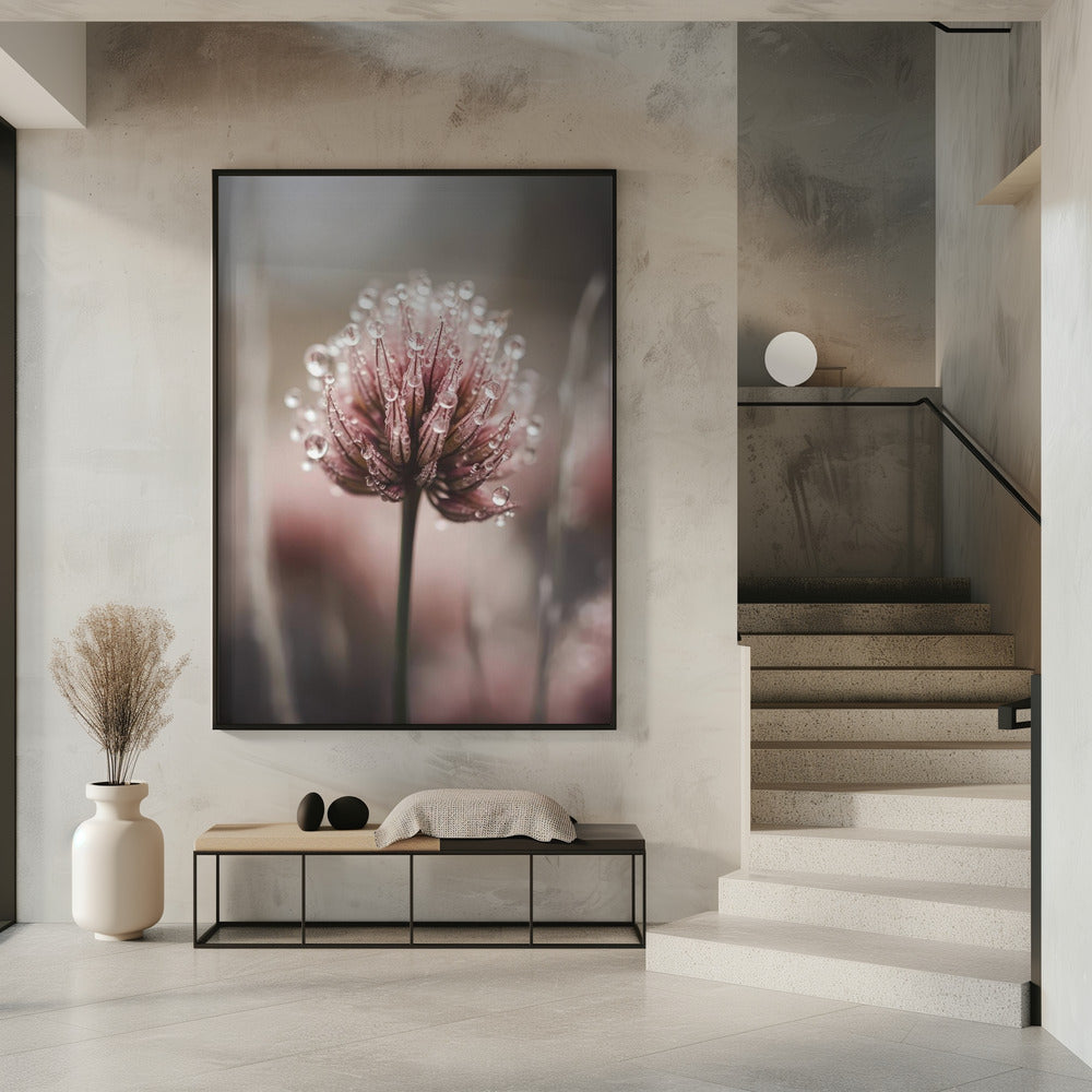 Dauwgekuste bloesem | Poster