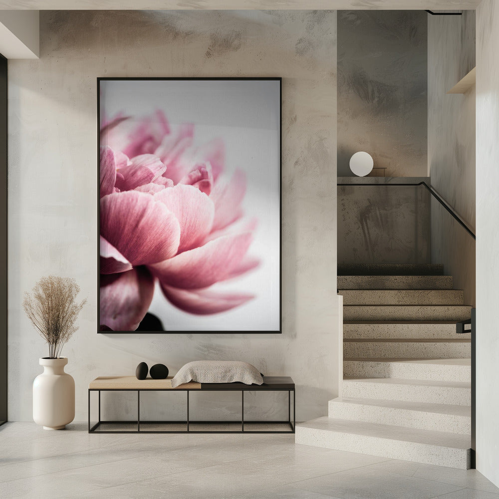 Peony 1 | Poster