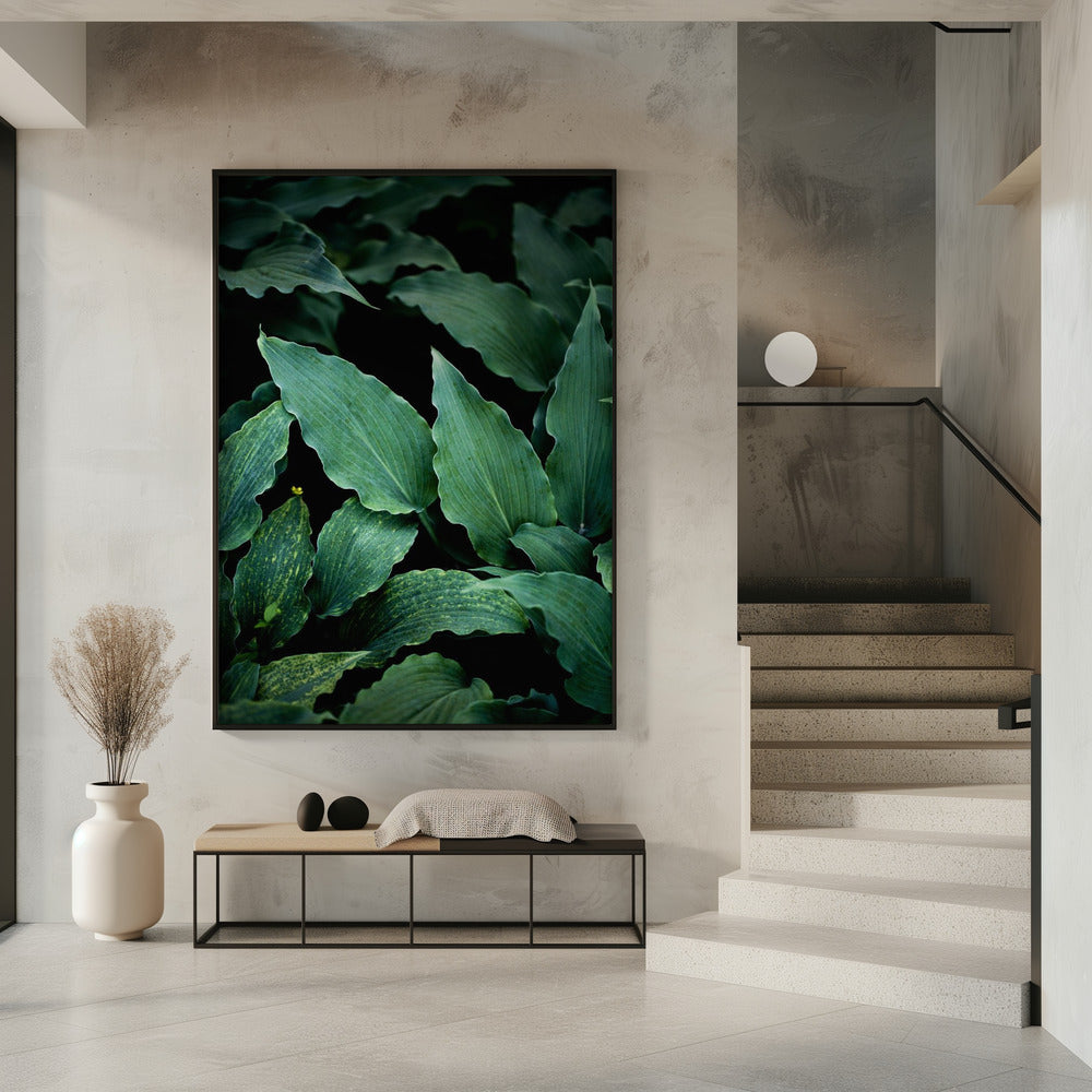 Dark Leaves 15 | Poster