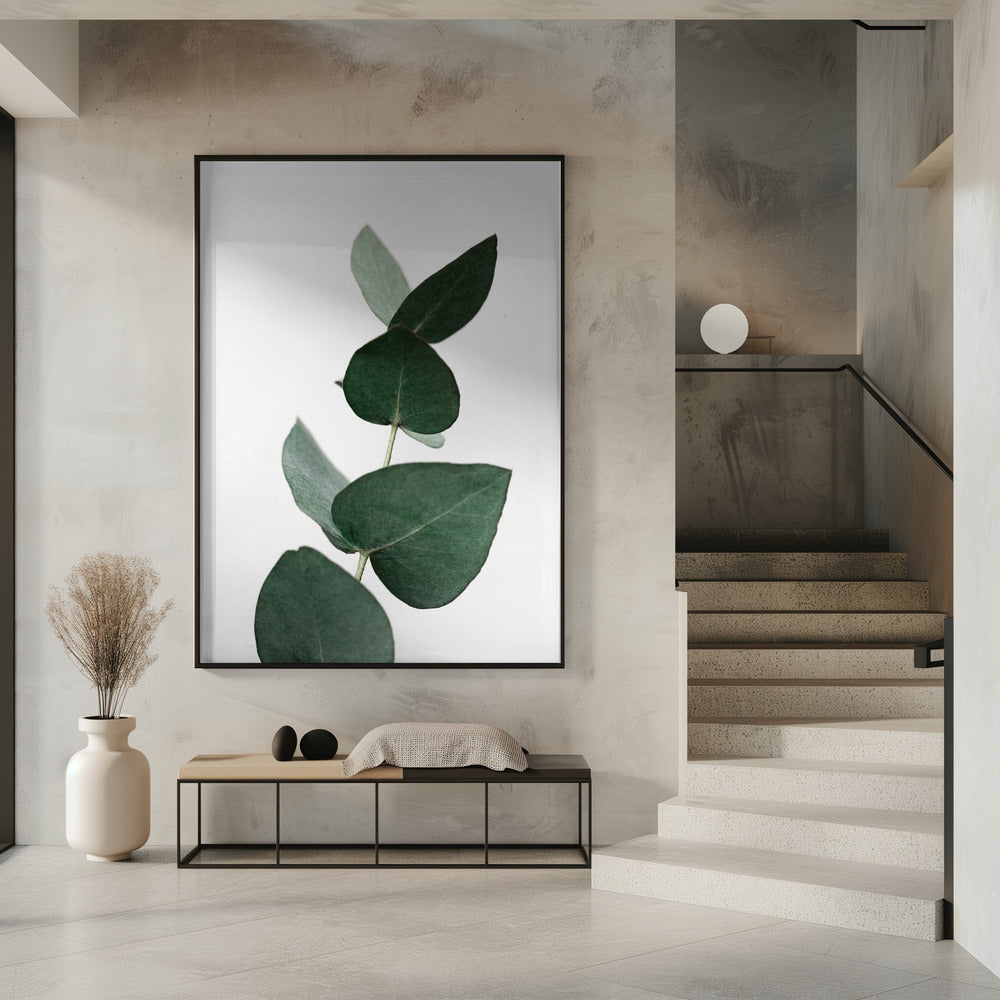 Eucalyptus 4 A1 | Poster