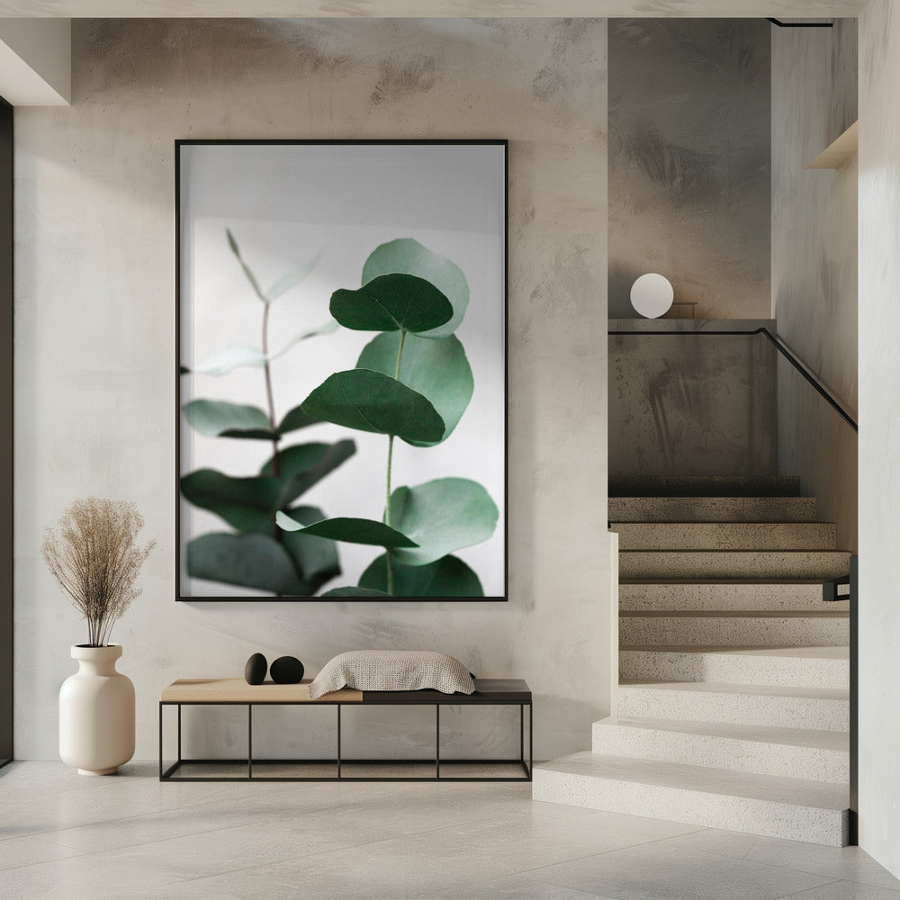 Eucalyptus 5 A1 | Poster