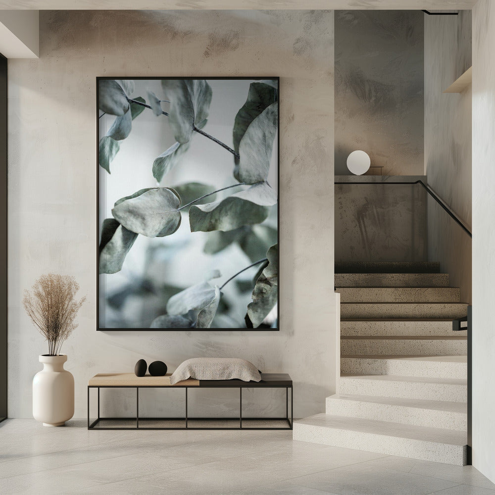 Eucalyptus 8 | Poster