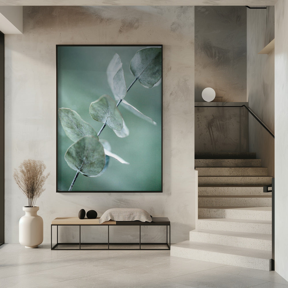 Eucalyptus 9 | Poster