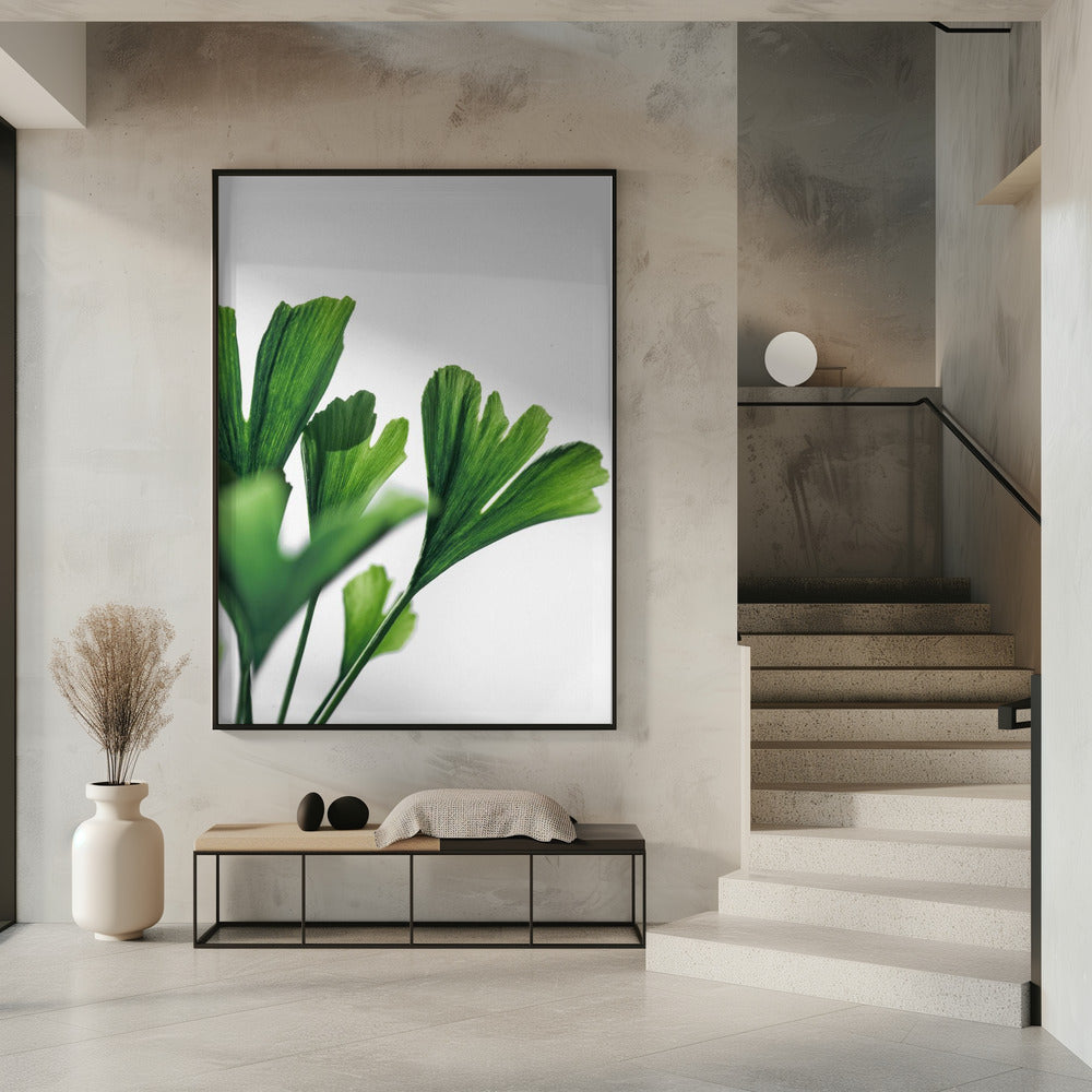 Ginko 4 | Poster