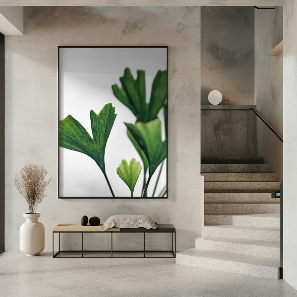 Ginko 5 | Poster