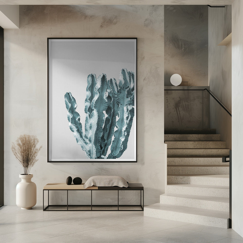 Cactus Elegantie | Poster