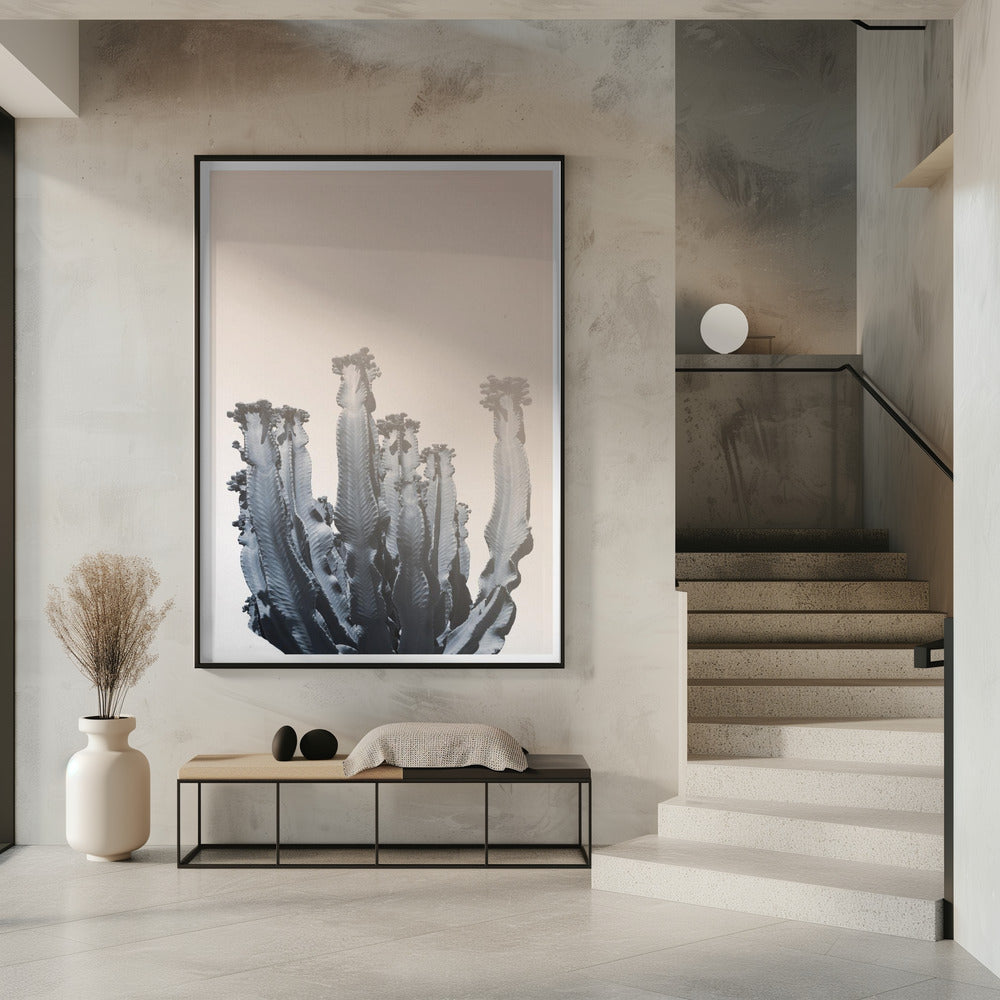 Cactussilhouetten | Poster