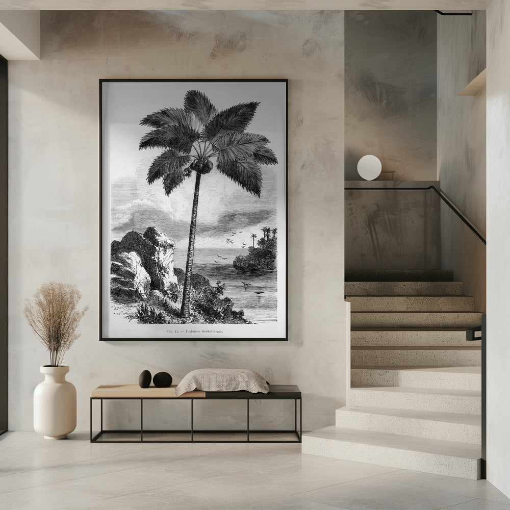 Vintage palmboom tekening I | Poster