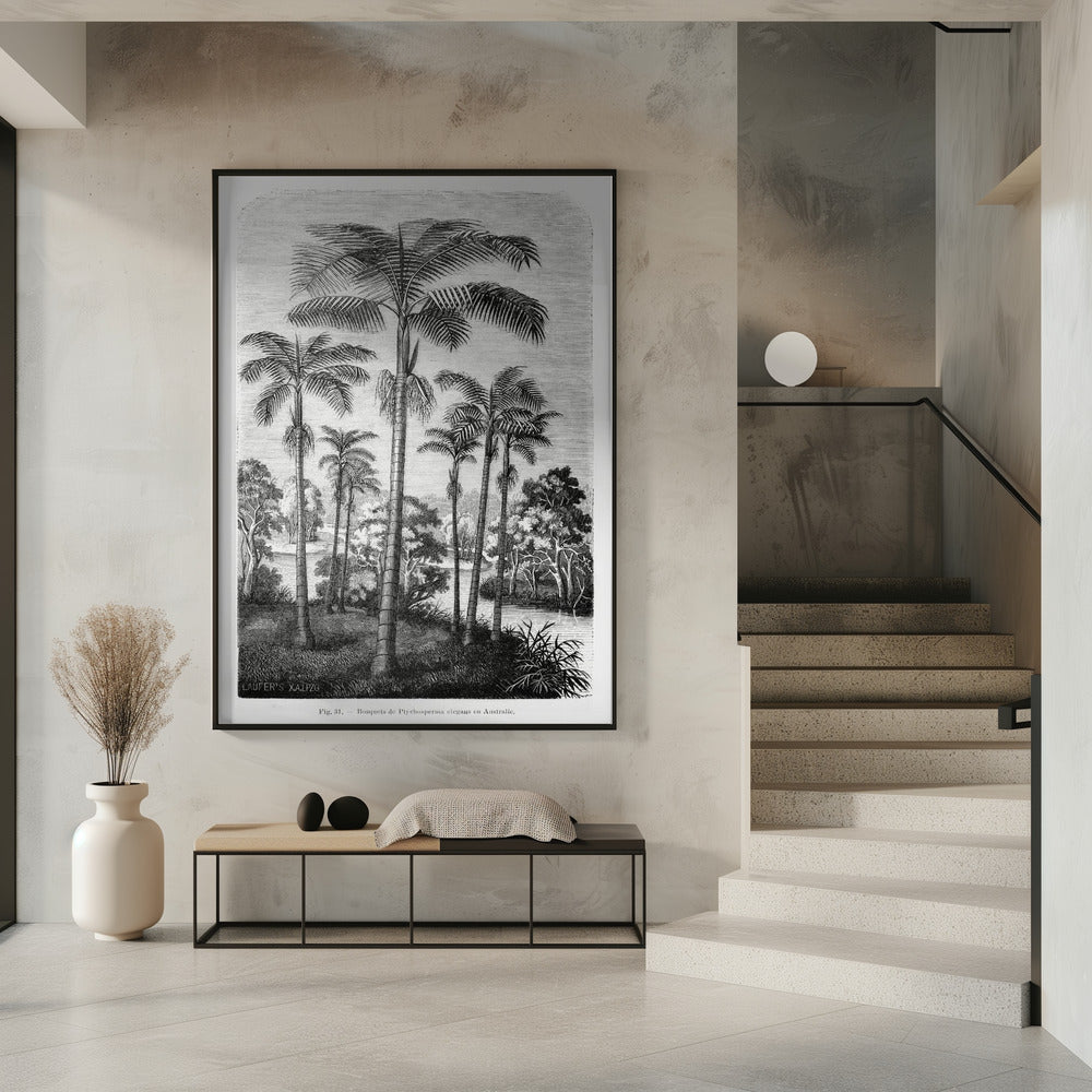 Vintage palmboom tekening II | Poster