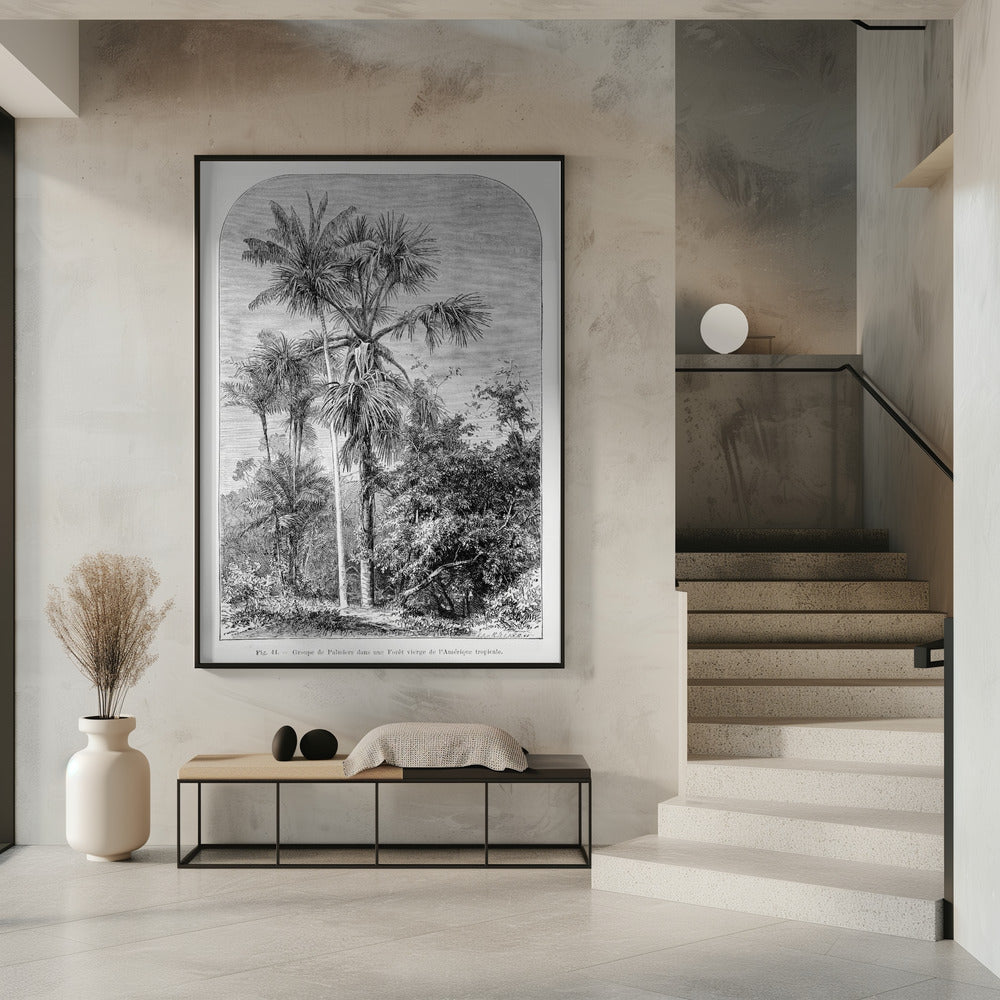 Vintage palmboom tekening IV | Poster