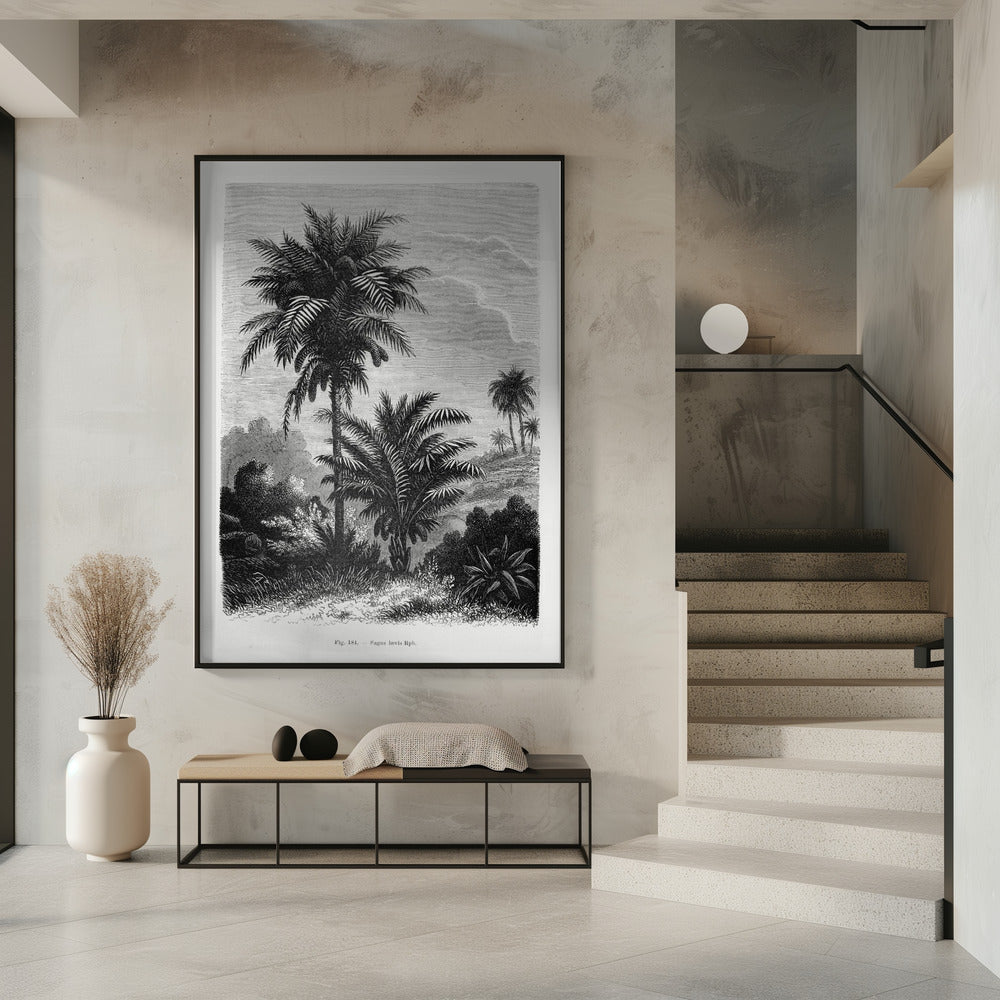 Vintage palmboom tekening V | Poster