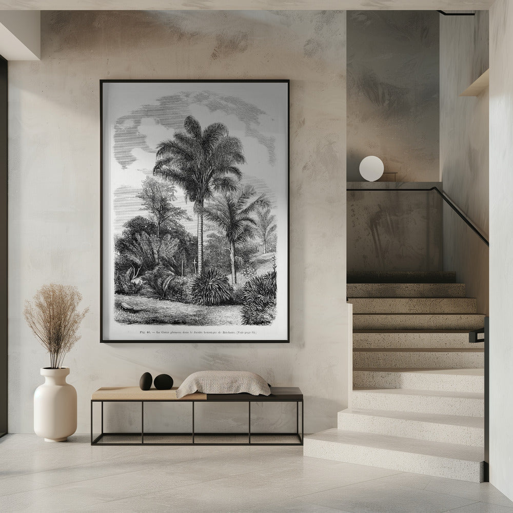 Vintage palmboom tekening VI | Poster