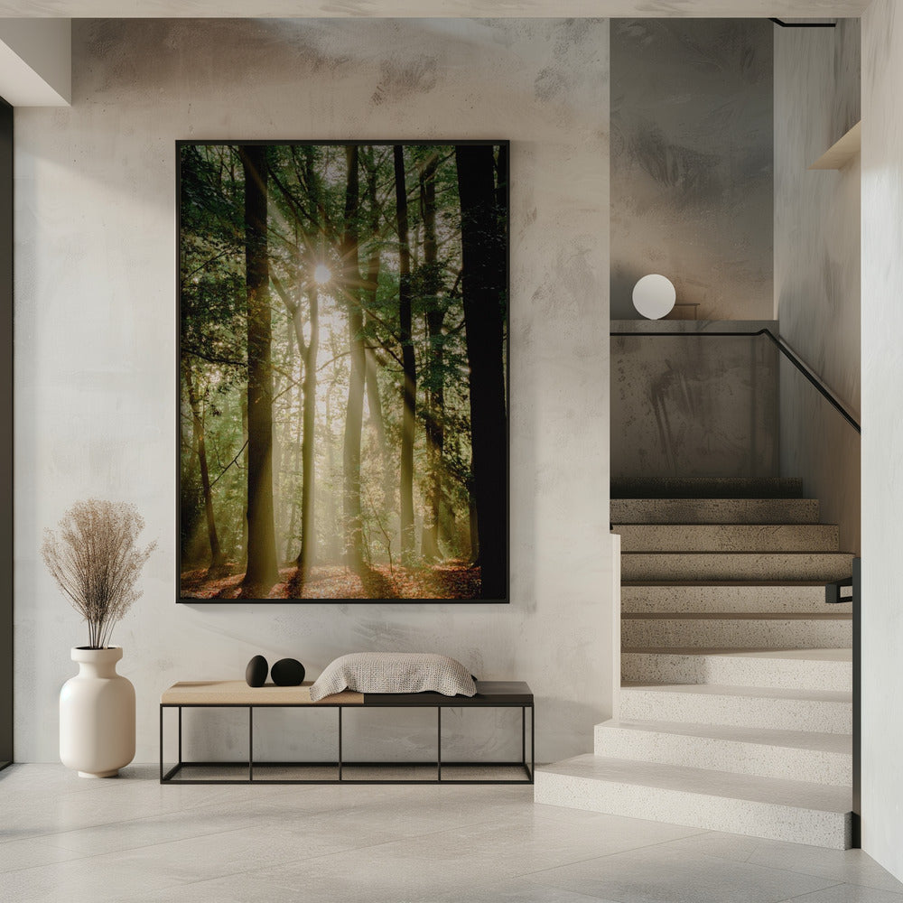 Zonnestralen door het bos | Poster
