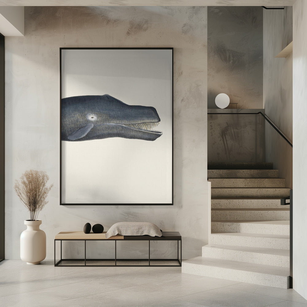Walvis I Dichte Bijsnijding Handgekleurde Zeeleven Lithografie 1824 | Poster