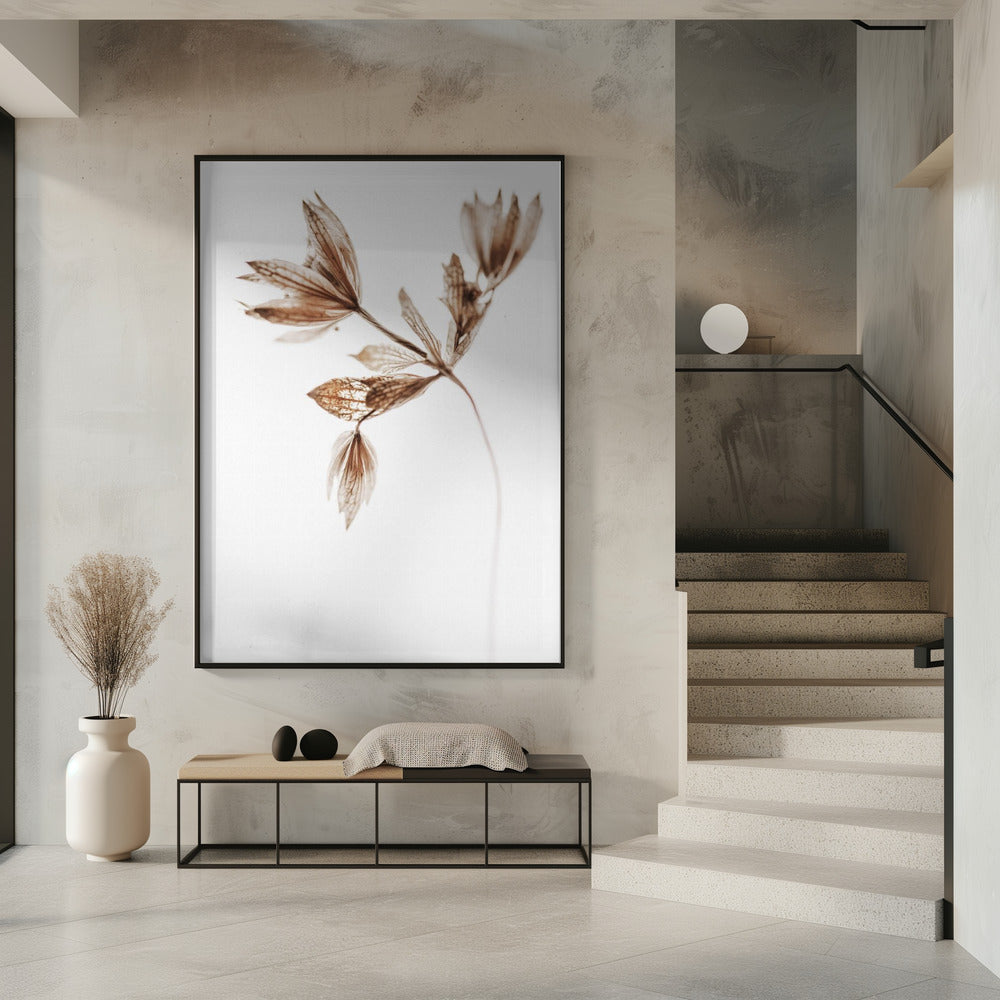 Delicate Plant I | Poster