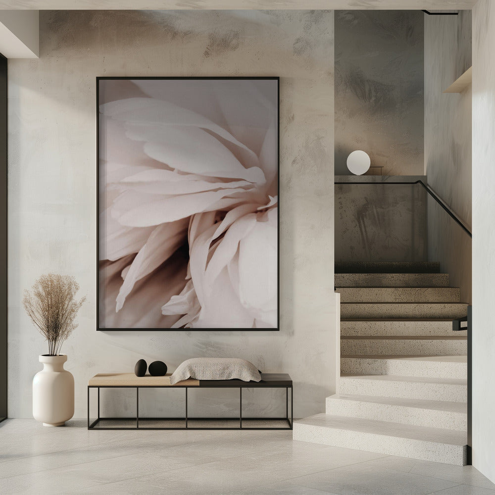 Peony | Poster