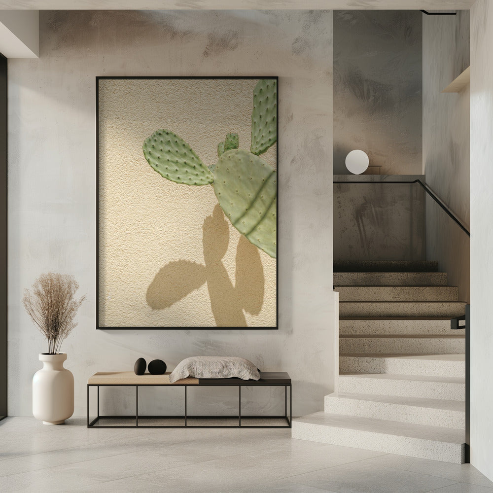 Cactussen Schaduwspel | Poster
