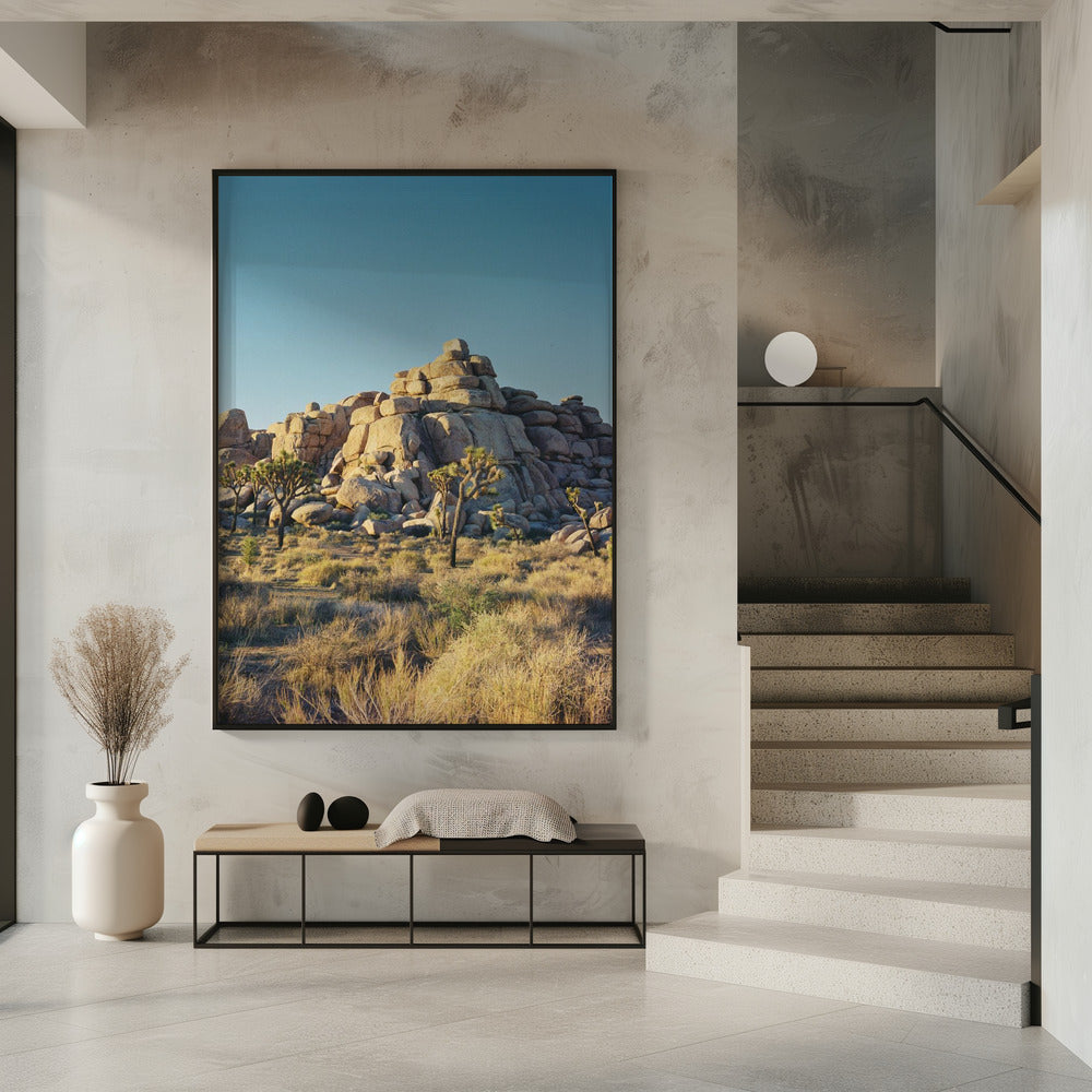 Zonsondergang in Joshua Tree | Poster