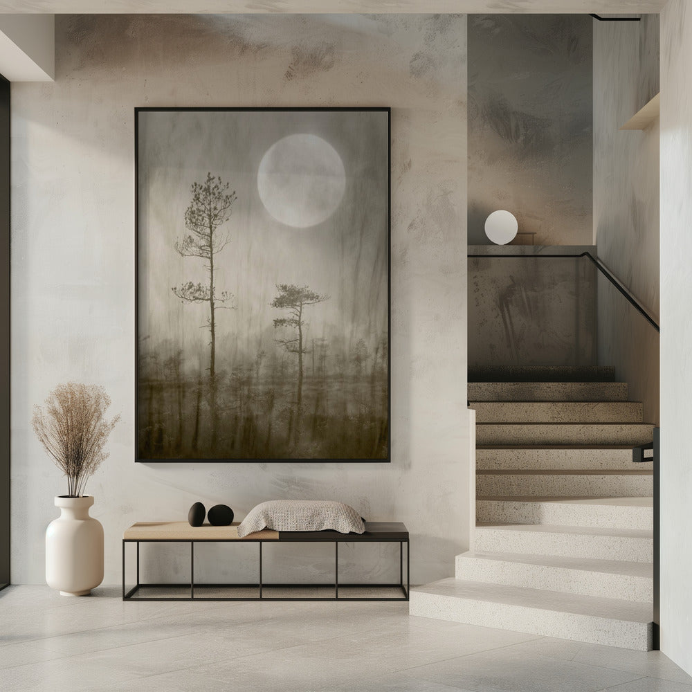 Moonlight Moor | Poster