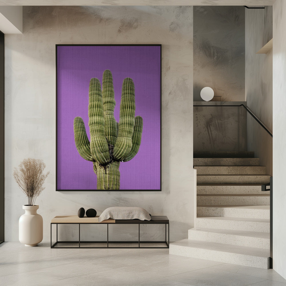 Paarse Cactus | Poster